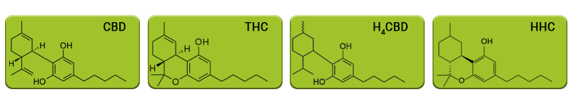 Molécules CBD THC H4CBD HHC