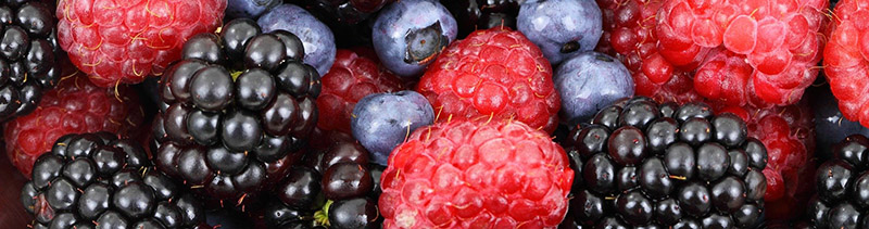 fruits rouges photos