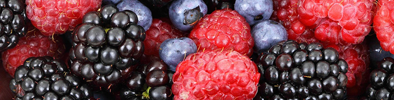 fruits rouges