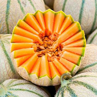 melon cantaloup eliquide flavor hit